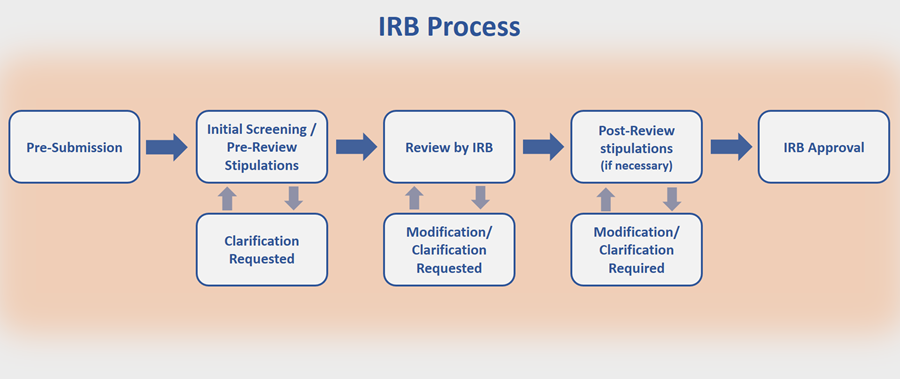 flowchart of IRB Process