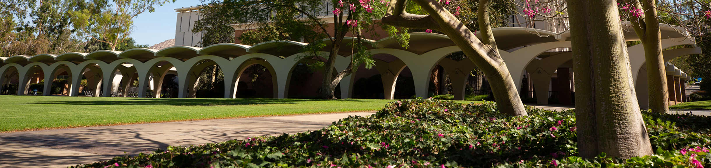 UCR Rivera Arches behind a blossoming tree